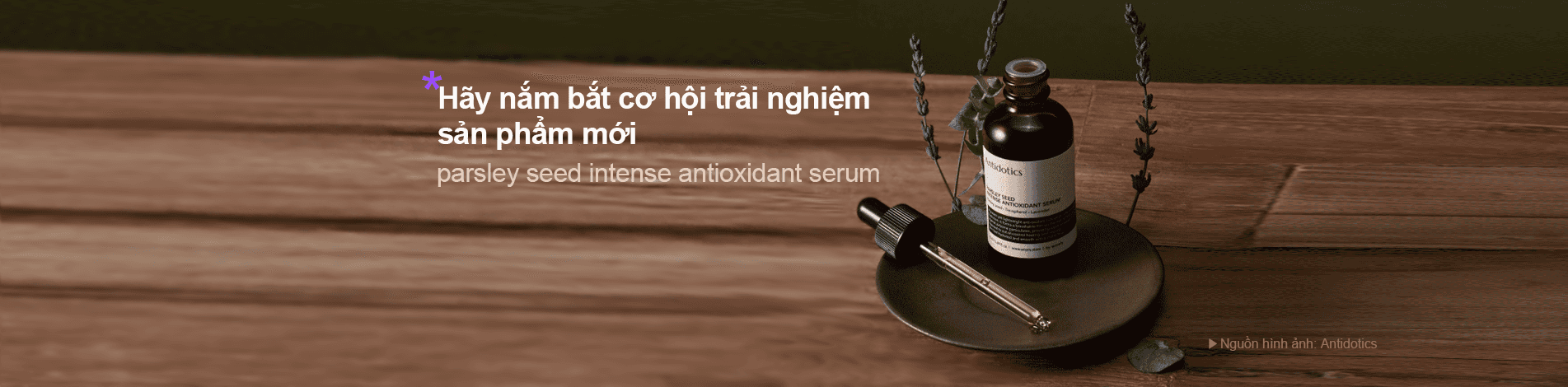 Top banner
